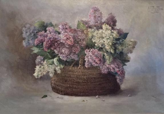 Бурхардт Федор Карлович. Сирень Бурхардт Федор Карлович. Сирень
