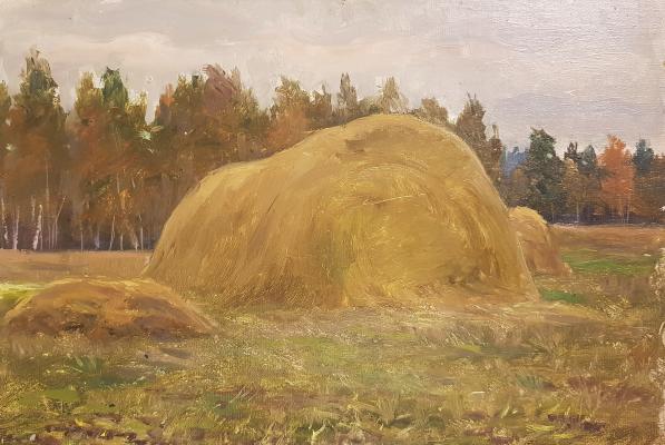 Кибардин Георгий Владимирович. Стог Кибардин Георгий Владимирович. Стог