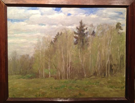 Бялыницкий-Бируля Витольд Каэтанович "Весенний день." Бялыницкий-Бируля Витольд Каэтанович "Весенний день."