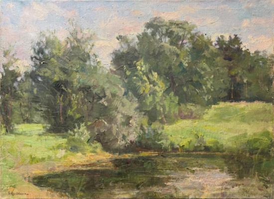 Корыгина Анастасия Константиновна. Вётлы у пруда