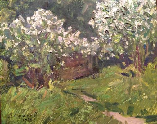 Ефанов Василий Прокофьевич. Жасмин. Ефанов Василий Прокофьевич. Жасмин.