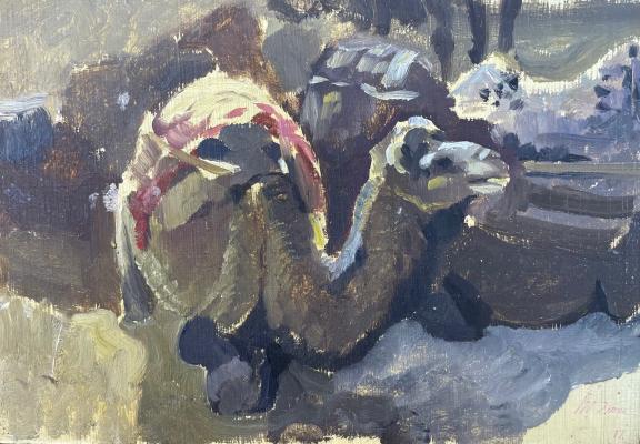 Котов Николай Георгиевич. Верблюд