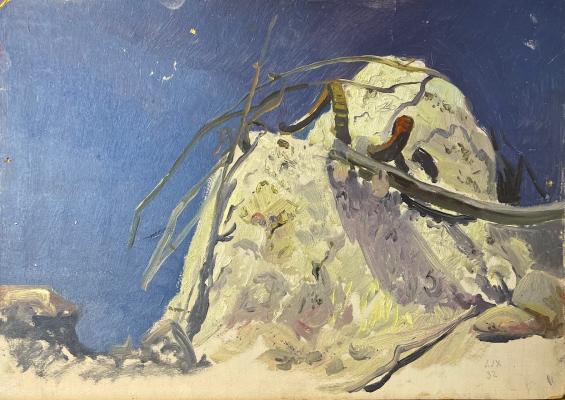 Котов Николай Георгиевич. Алтын-Мазар