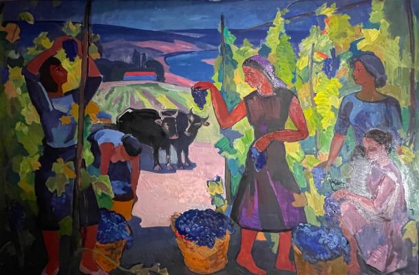 Васин Виктор Фёдорович. Уборка винограда