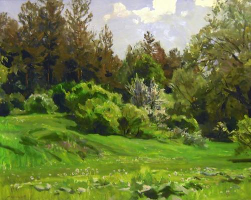 Грицай Алексей Михайлович "Первые летние дни." Грицай Алексей Михайлович "Первые летние дни."