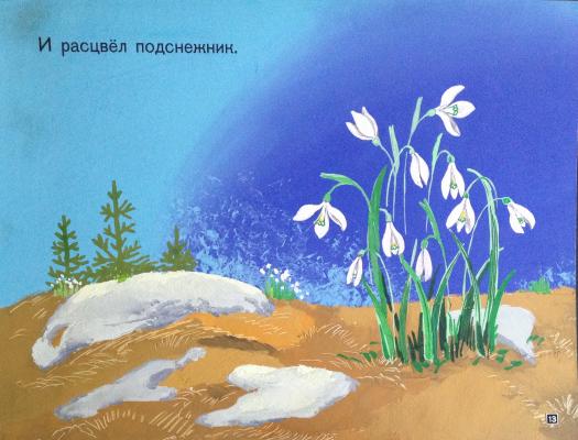 Зеброва Тамара Александровна. И расцвел подснежник. Зеброва Тамара Александровна. И расцвел подснежник.