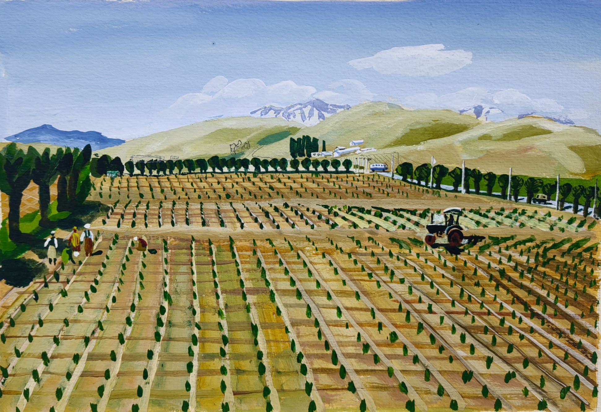 Рожнев Владислав Валентинович. Беш-Мойнок-Ачи