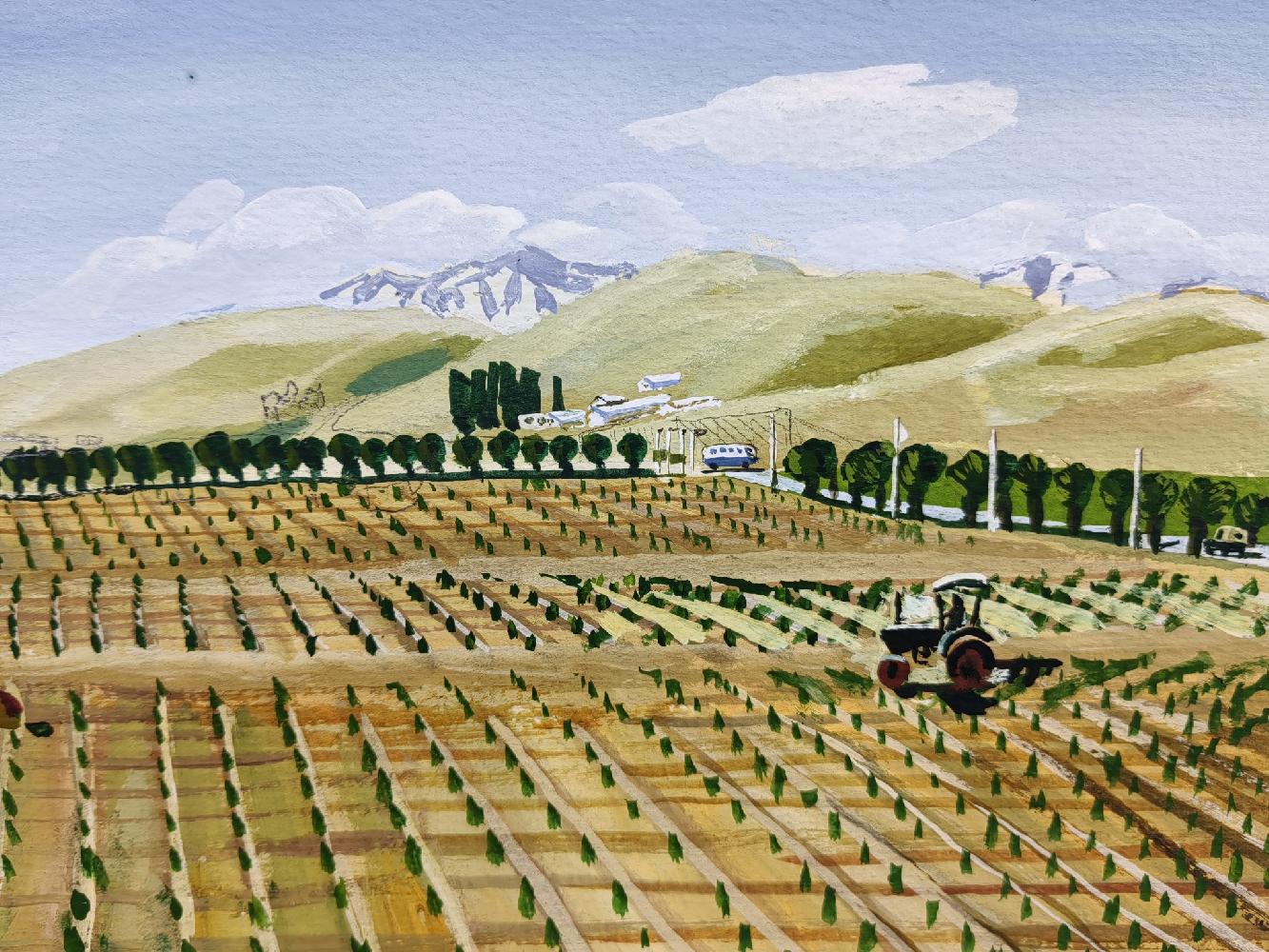 Рожнев Владислав Валентинович. Беш-Мойнок-Ачи