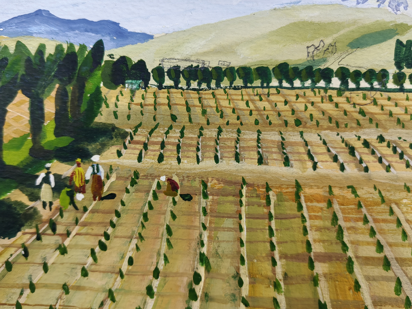 Рожнев Владислав Валентинович. Беш-Мойнок-Ачи