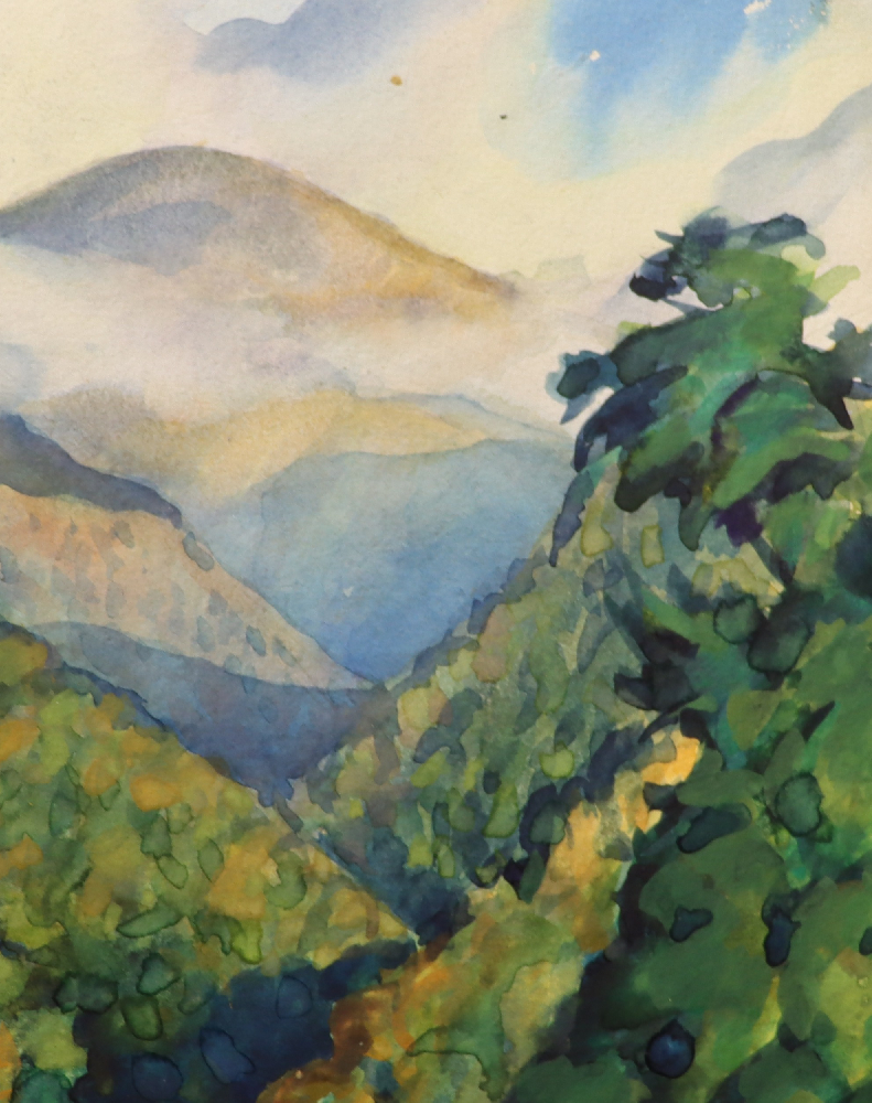 Хряков Александр Фёдорович. Гагры. Долина Жоэквара