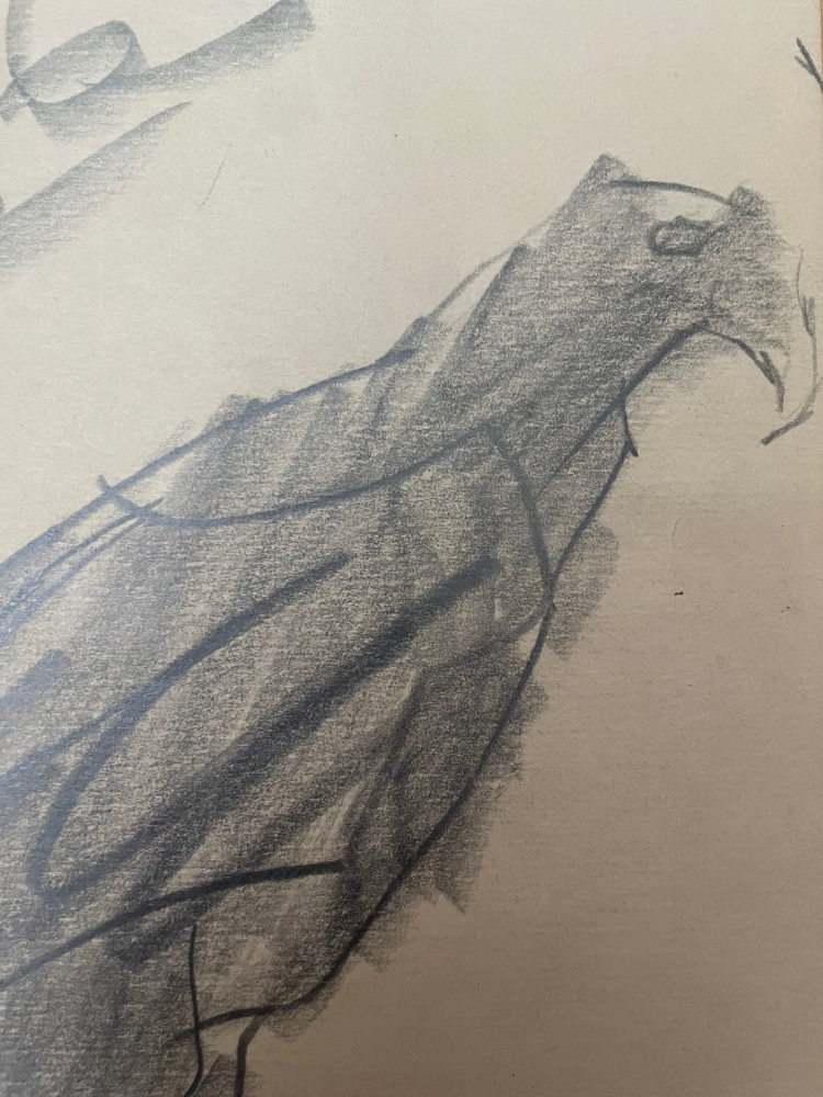 Зверев Анатолий Тимофеевич. Орёл