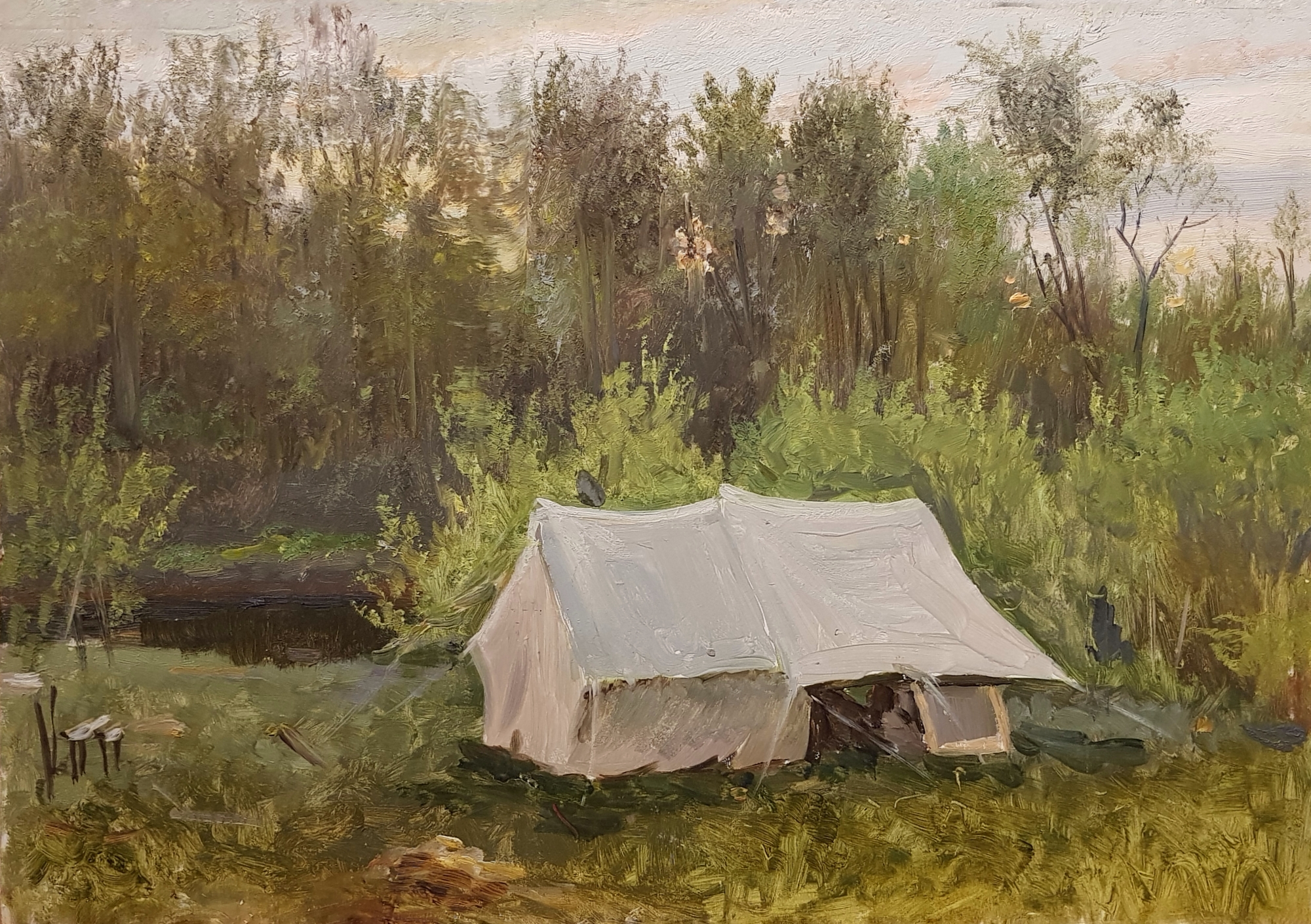 Кибардин Георгий Владимирович. Палатка в лесу