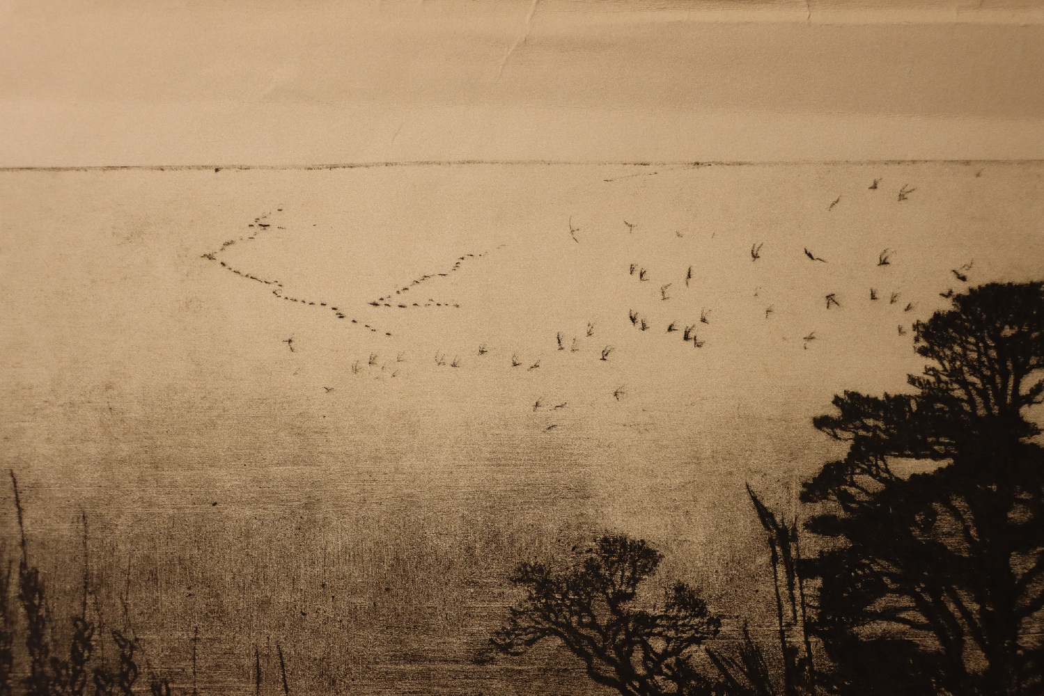 Ванеев Петр Иванович. Саяны