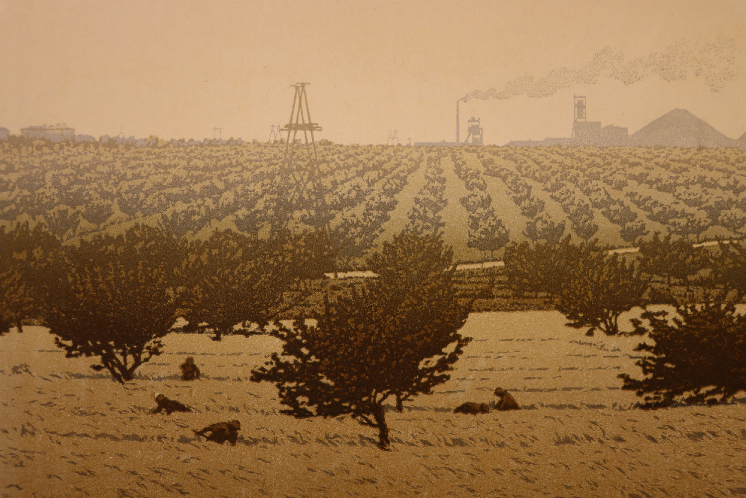 Ванеев Петр Иванович. В окрестностях гор. Донецка. Донбасс