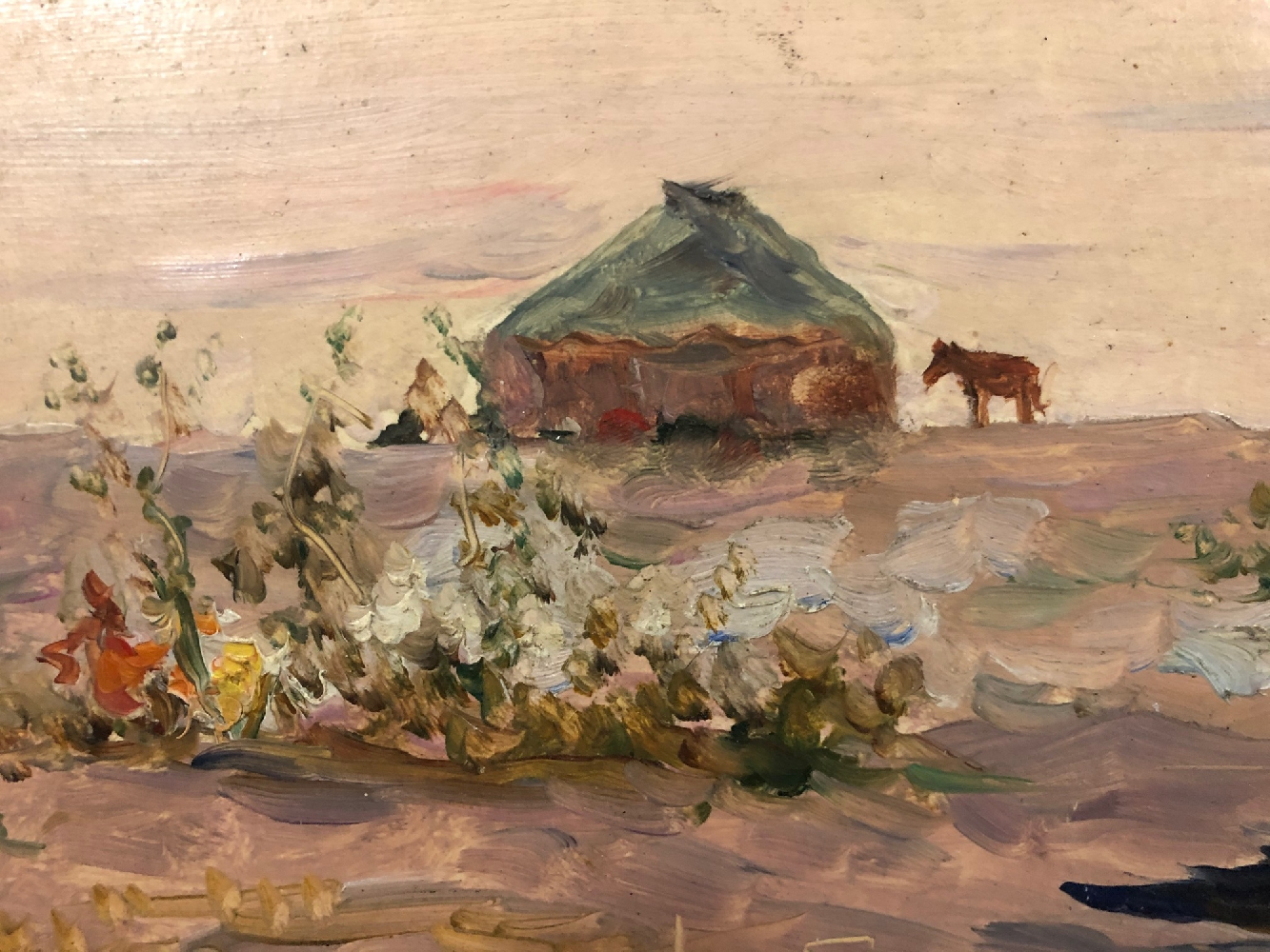 Павлов Олег Борисович. Путешественник Пржевальский Павлов Олег Борисович. Путешественник Пржевальский
