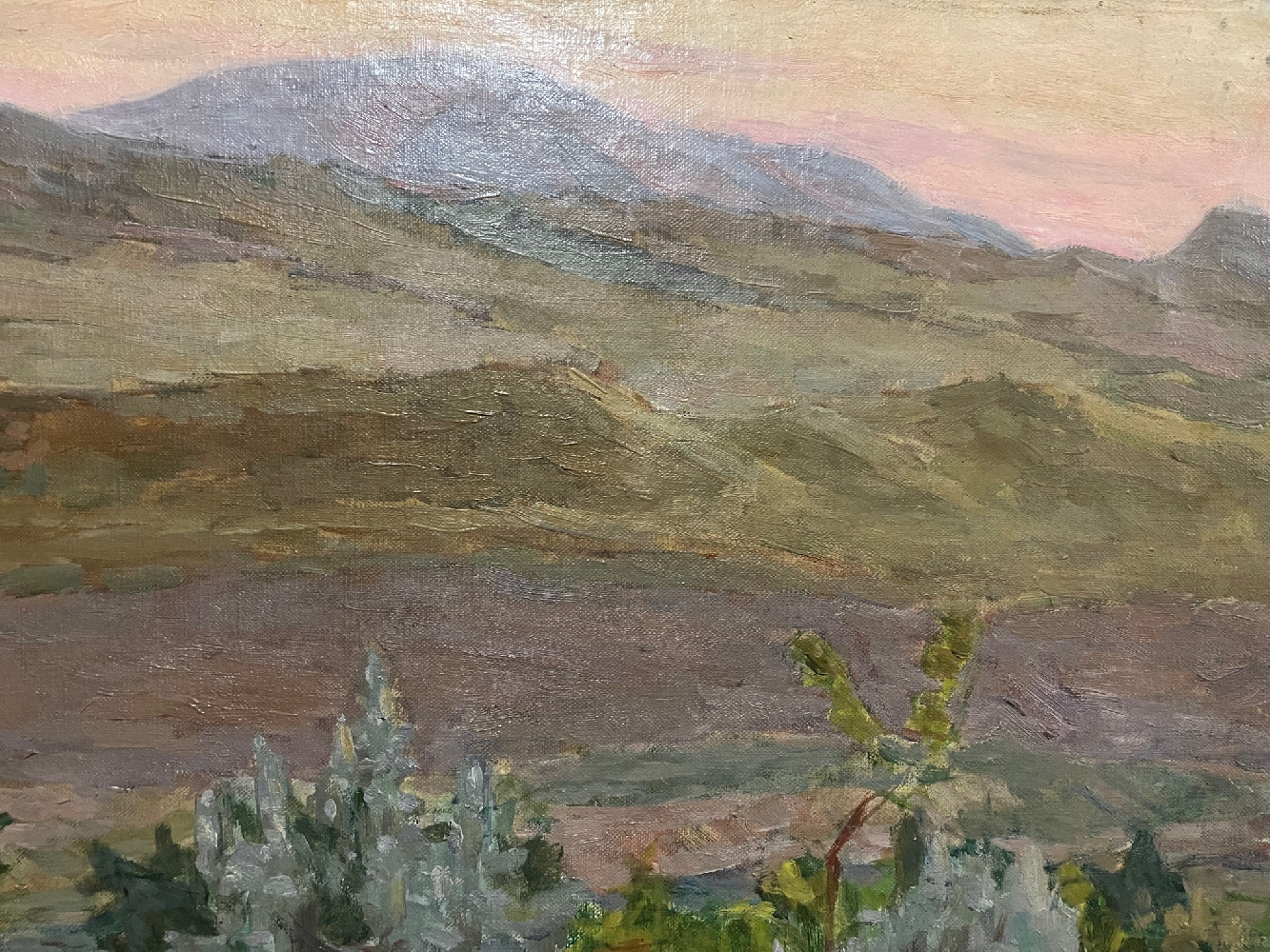 Павлов Олег Борисович. Крымский пейзаж. Козы Павлов Олег Борисович. Крымский пейзаж. Козы