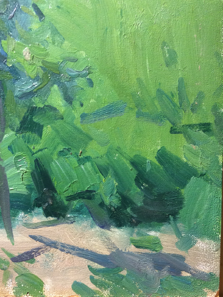 Фёдоров Владислав Георгиевич. Этюд