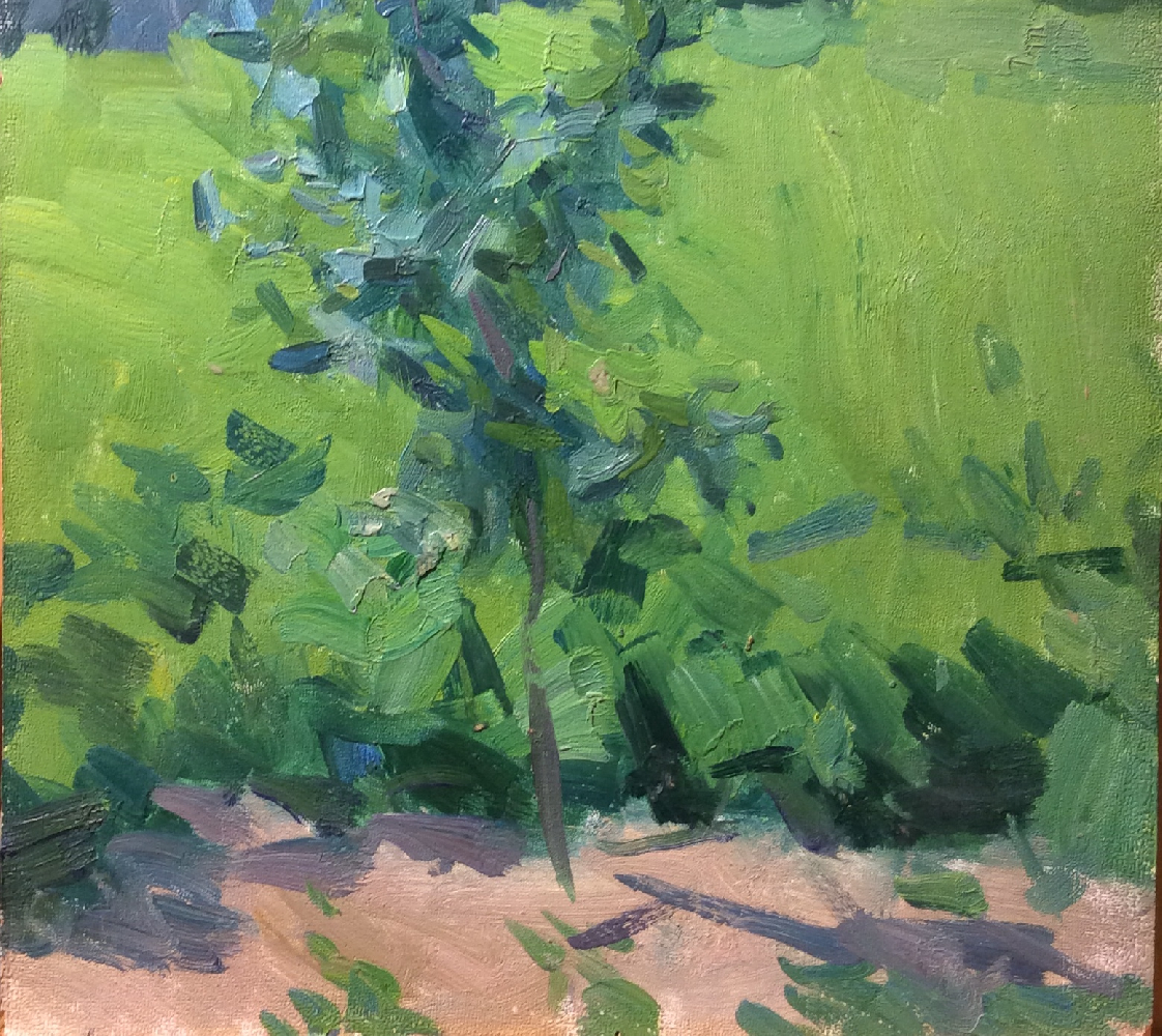 Фёдоров Владислав Георгиевич. Этюд