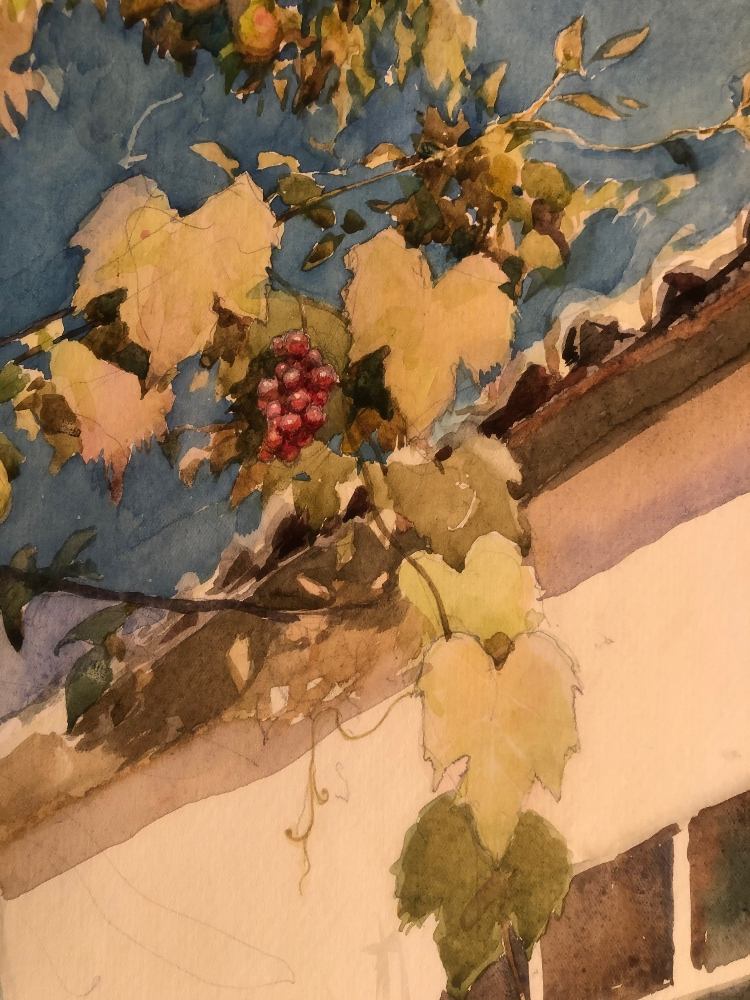 Мешков Евгений Алексеевич. Анапа. Виноград у окна