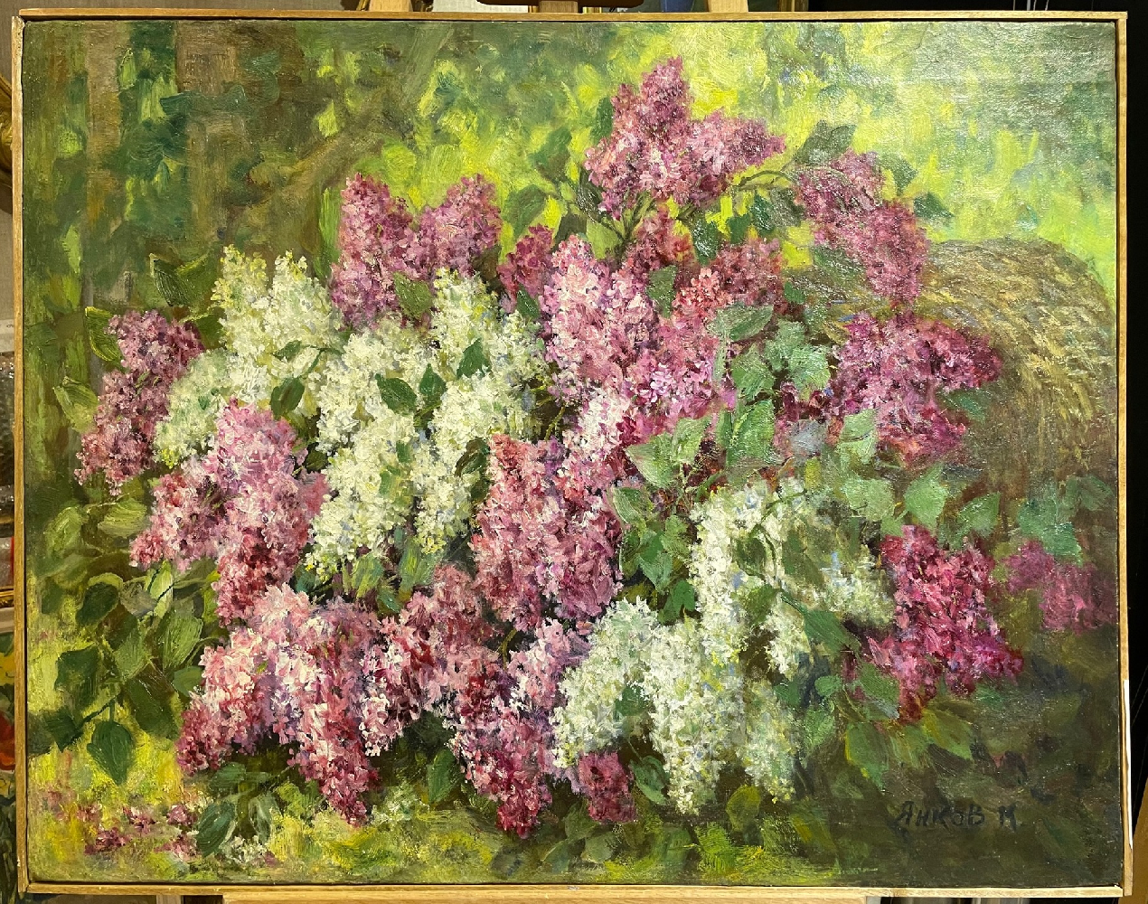 Янков Михаил Дмитриевич. Сирень Янков Михаил Дмитриевич. Сирень
