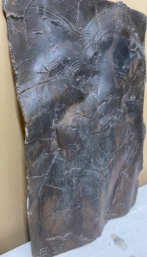 Франгулян Георгий Вартанович. Мечты