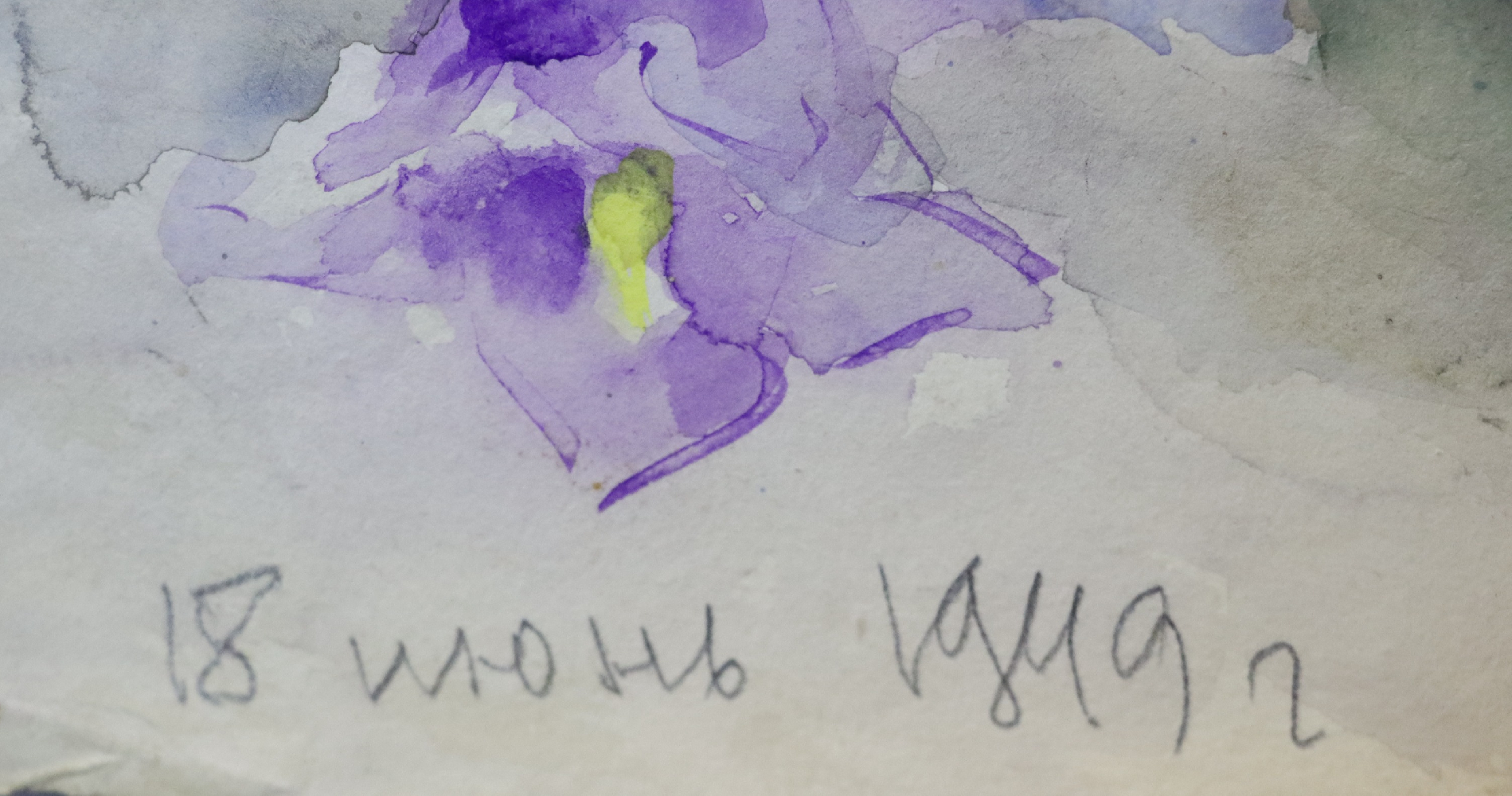 Белякова Алла Михайловна. Летний букет