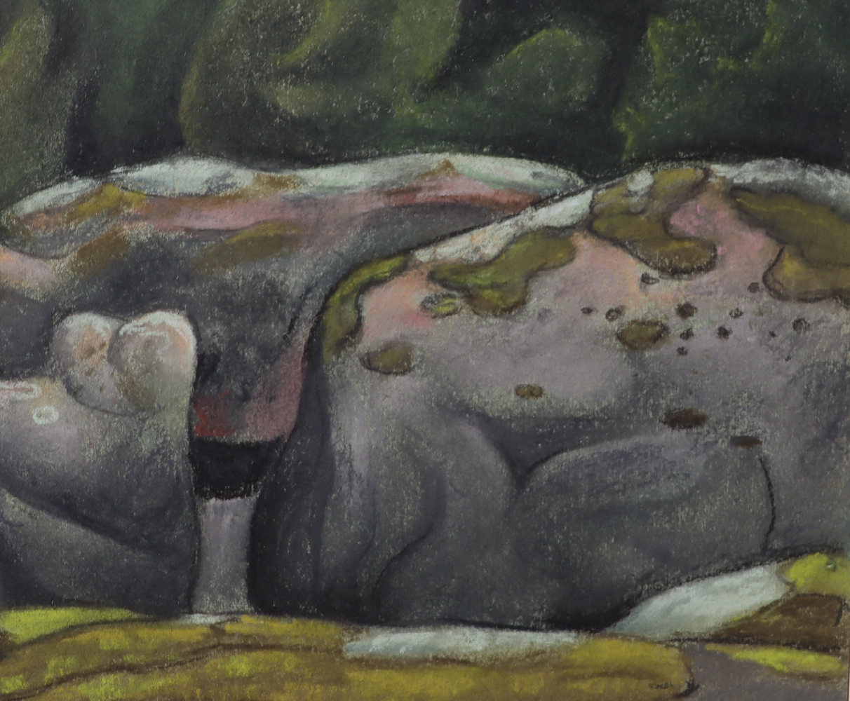 Смирнов-Русецкий Борис Алексеевич. В каменном мире. Сортавала