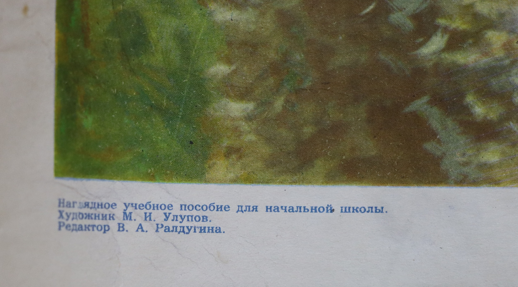 Улупов Марк Иванович. Электрифицированная железная дорога Улупов Марк Иванович. Электрифицированная железная дорога