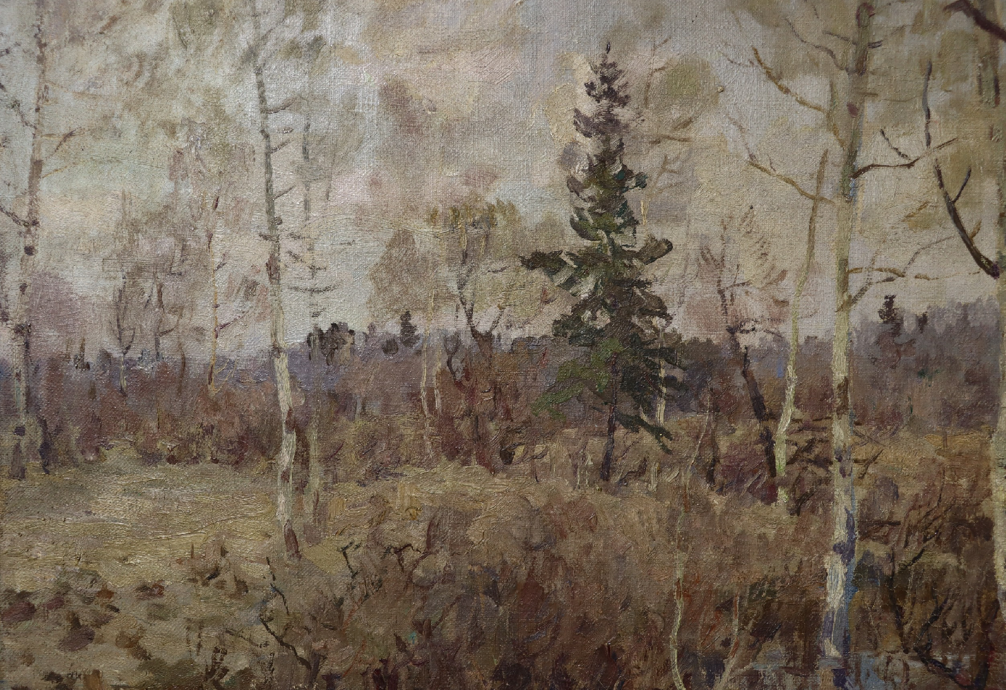 Мухо Николай Антонович. Весенний разлив