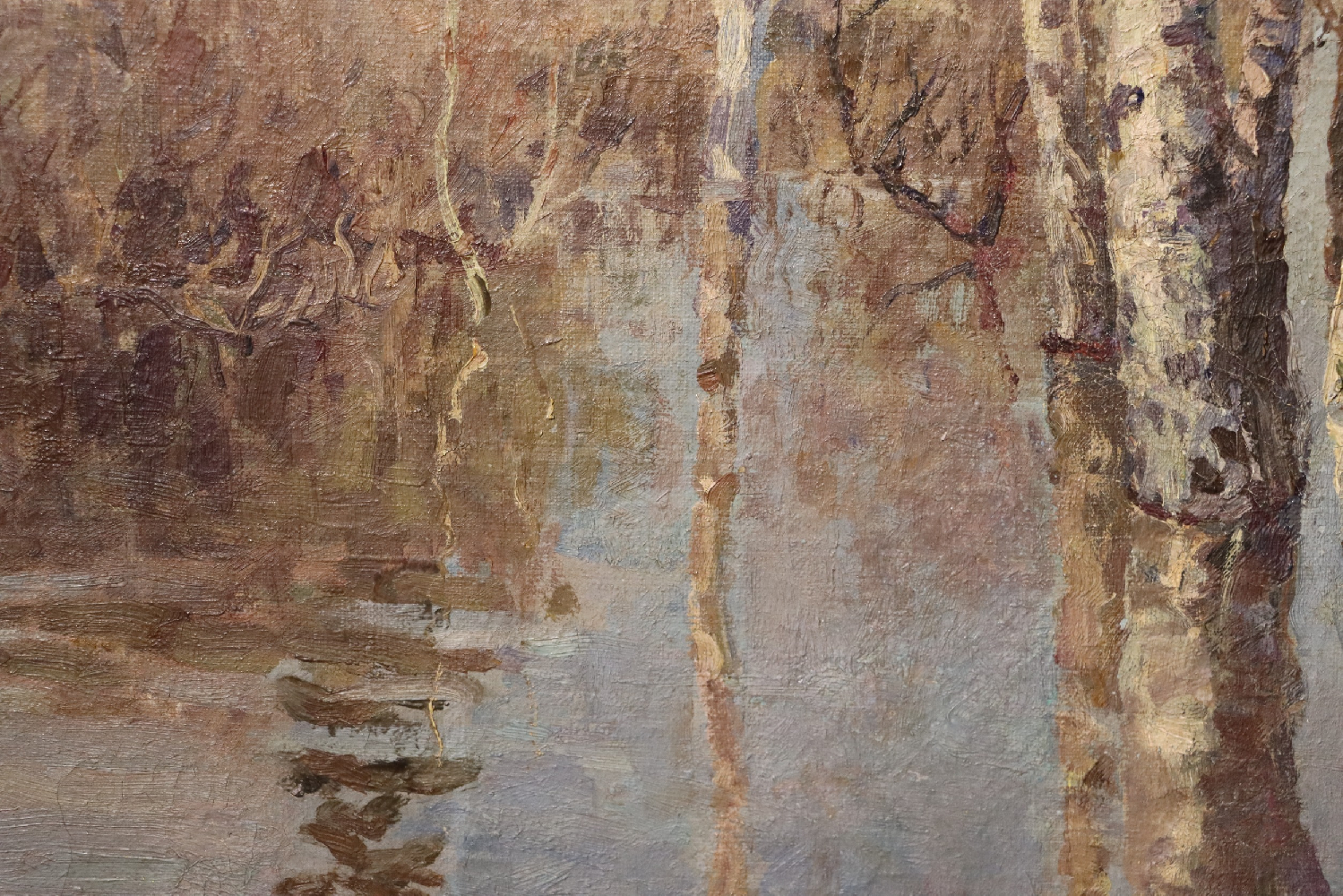 Мухо Николай Антонович. Весенний разлив