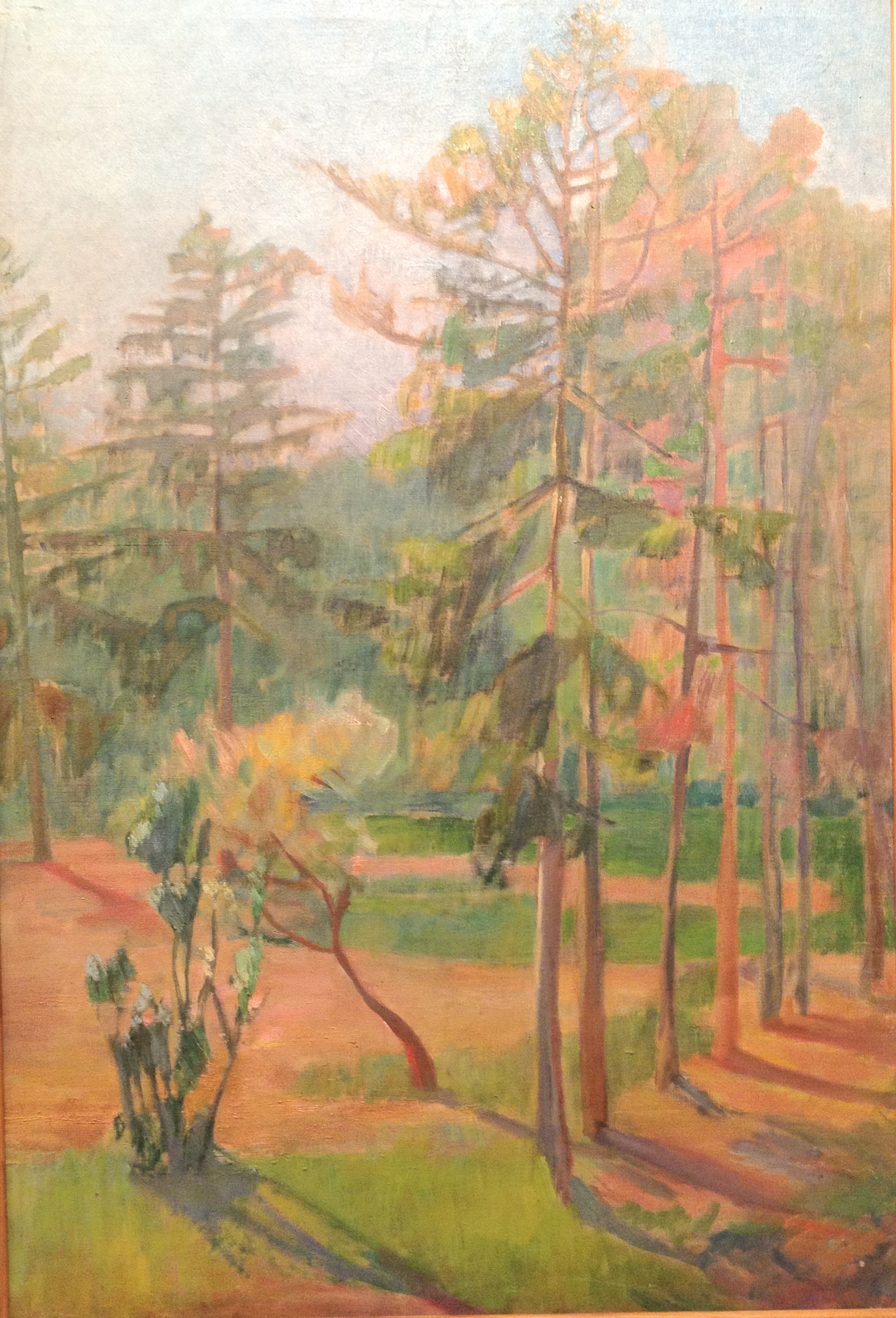 Закликовская Софья Людвиговна. Сосны,освещенные солнцем.Мариенбург. Закликовская Софья Людвиговна. Сосны,освещенные солнцем.Мариенбург.