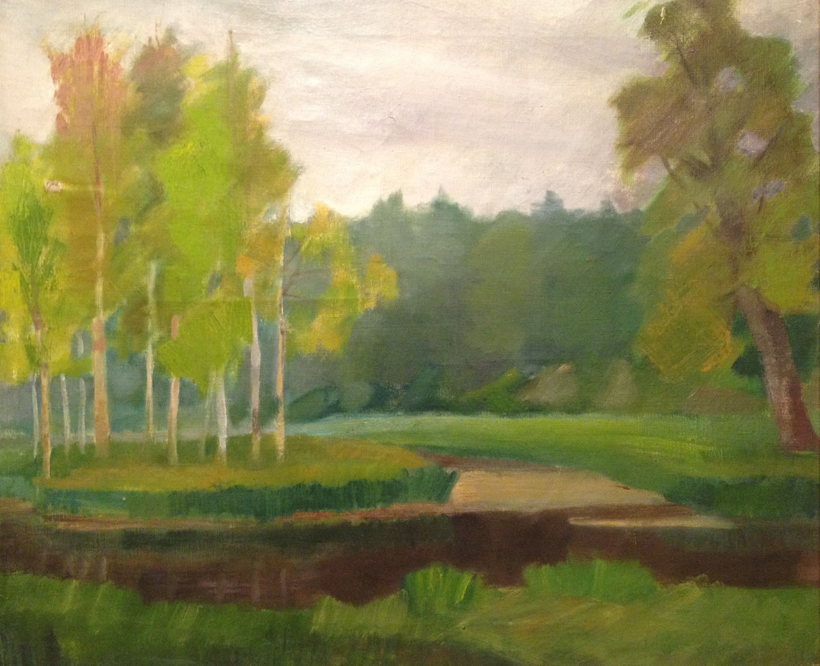 Закликовская Софья Людвиговна. У озера. Мариебург. Закликовская Софья Людвиговна. У озера. Мариебург.