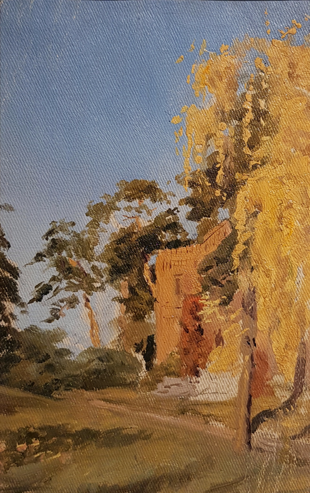 Костенко Константин Евтихиевич. Алупка