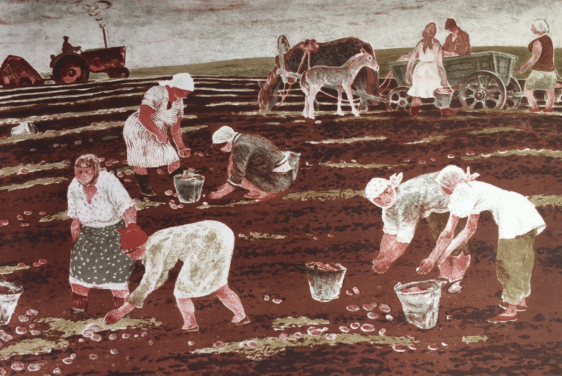 Калинычева Клара Ивановна. Уборка картофеля. Совхоз Курсаковский Калинычева Клара Ивановна. Уборка картофеля. Совхоз Курсаковский
