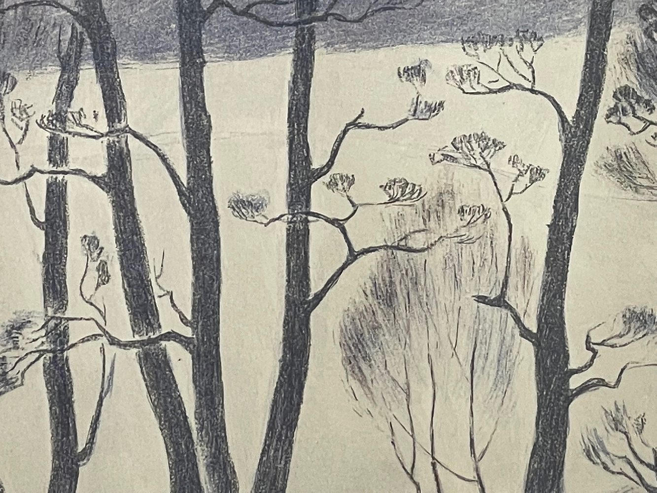 Дехтерёва Татьяна Александровна. Лыжники. Дехтерёва Татьяна Александровна. Лыжники.