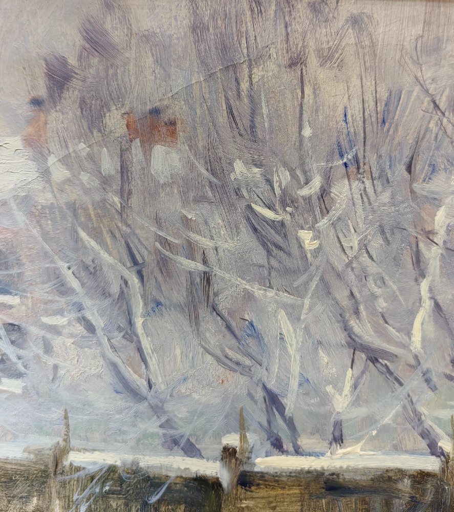 Дмитриевский Виктор Константинович. Зимка