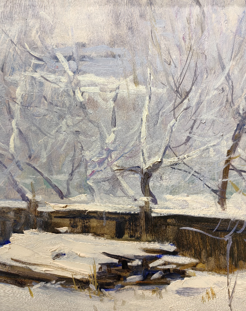 Дмитриевский Виктор Константинович. Зимка