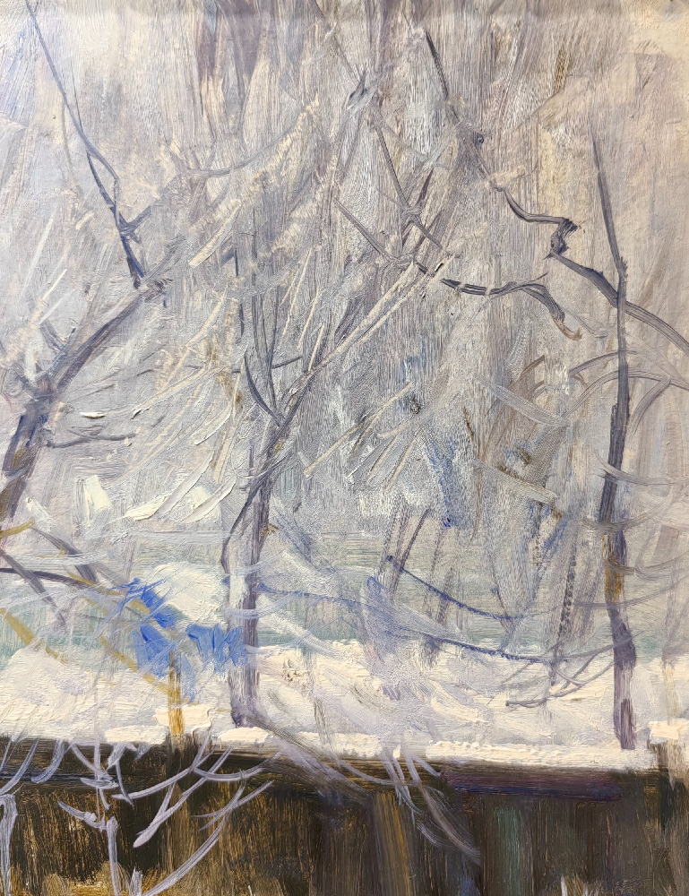 Дмитриевский Виктор Константинович. Зимка