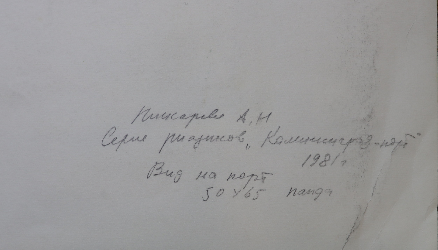 Пискарёва Анна Николаевна. Вид на порт
