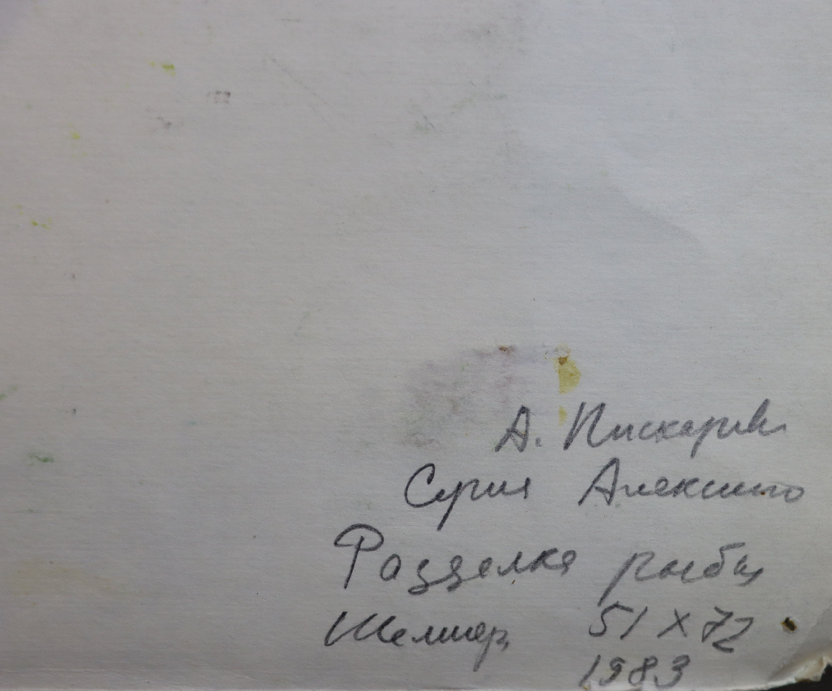 Пискарёва Анна Николаевна. Разделка рыбы Пискарёва Анна Николаевна. Разделка рыбы