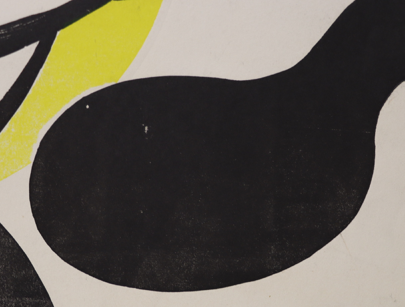 Витинг Николай Иосифович. Баскетбол.