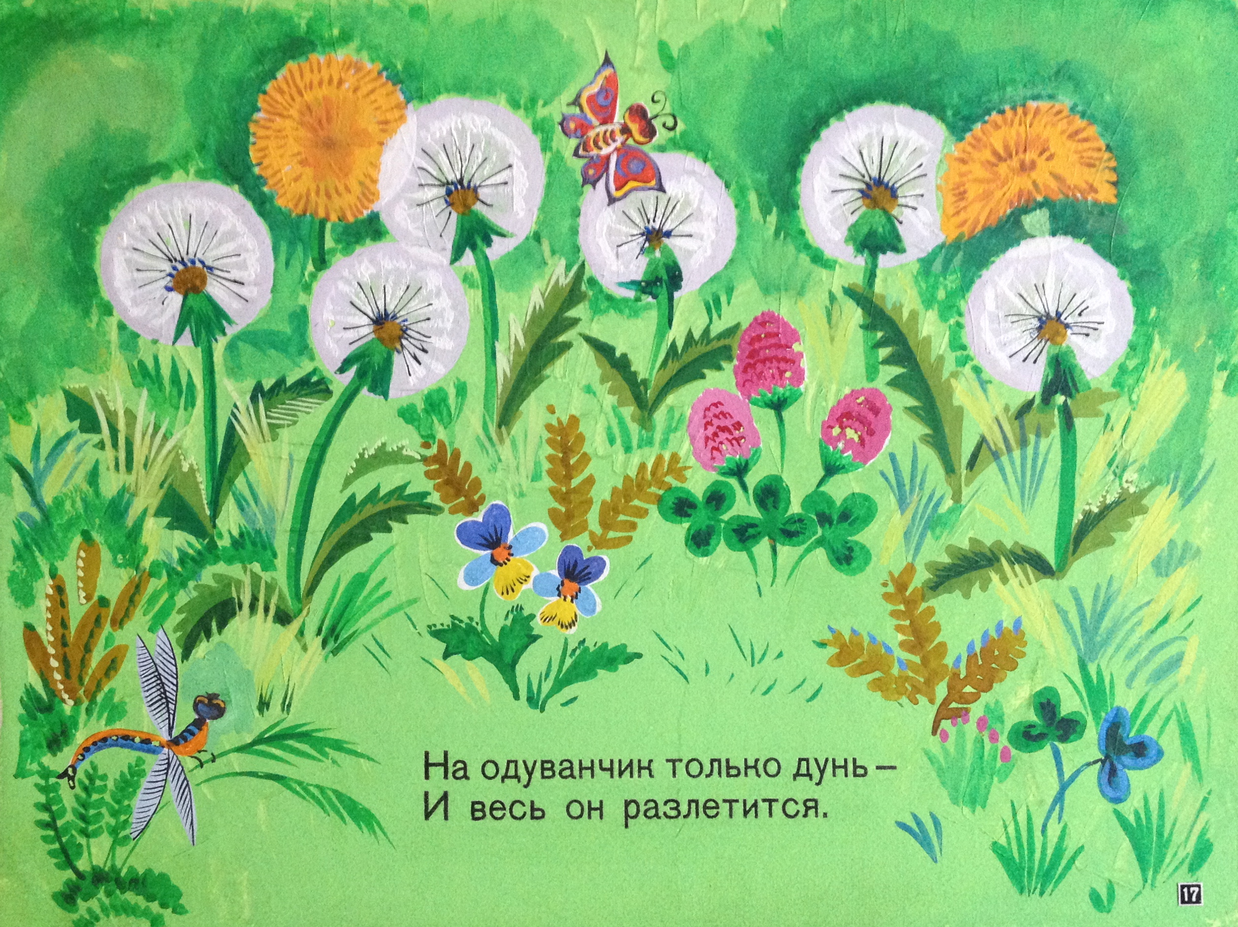 Зеброва Тамара Александровна. На одуванчик только дунь и весь он разлетится. Зеброва Тамара Александровна. На одуванчик только дунь и весь он разлетится.