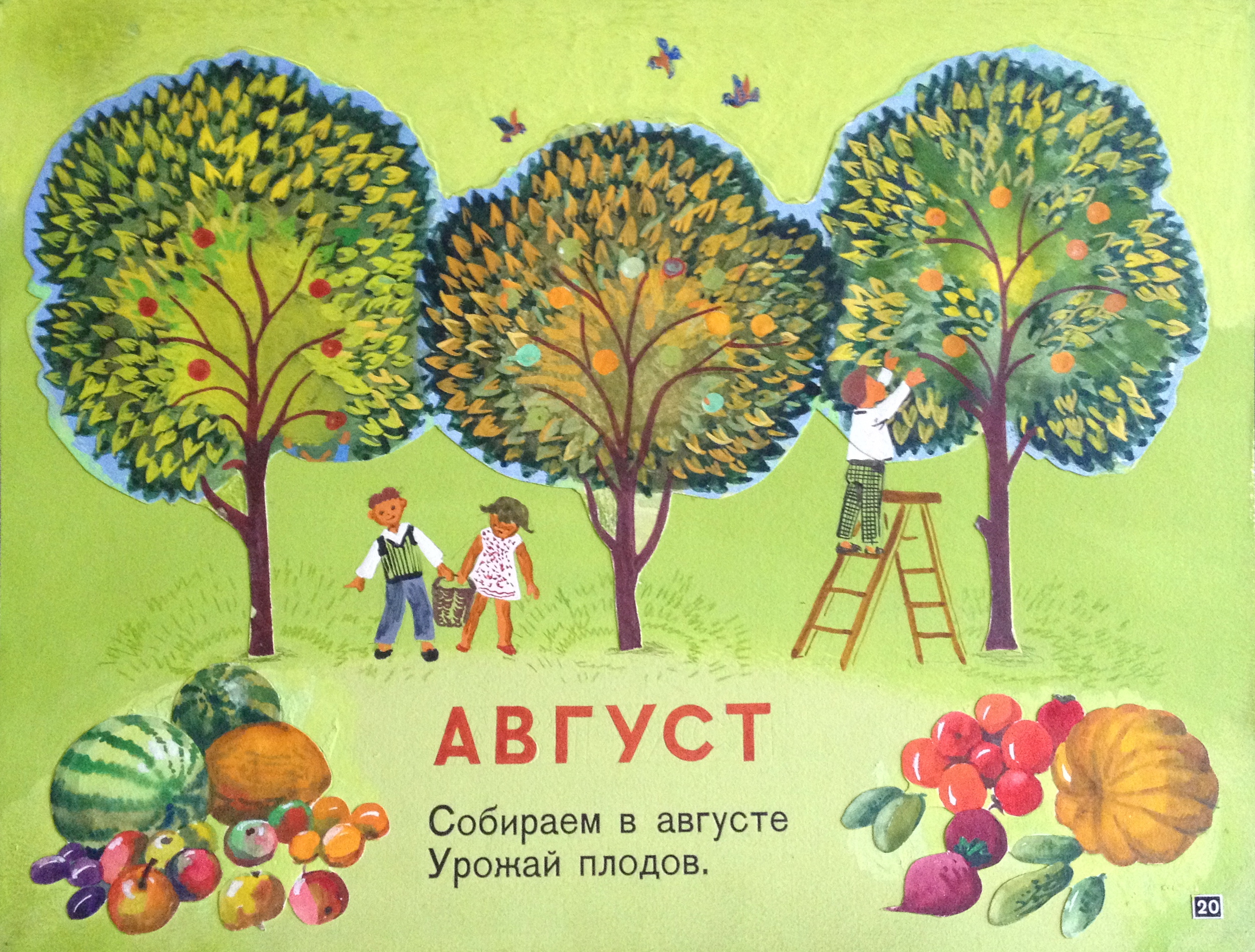 Зеброва Тамара Александровна. Август. Зеброва Тамара Александровна. Август.