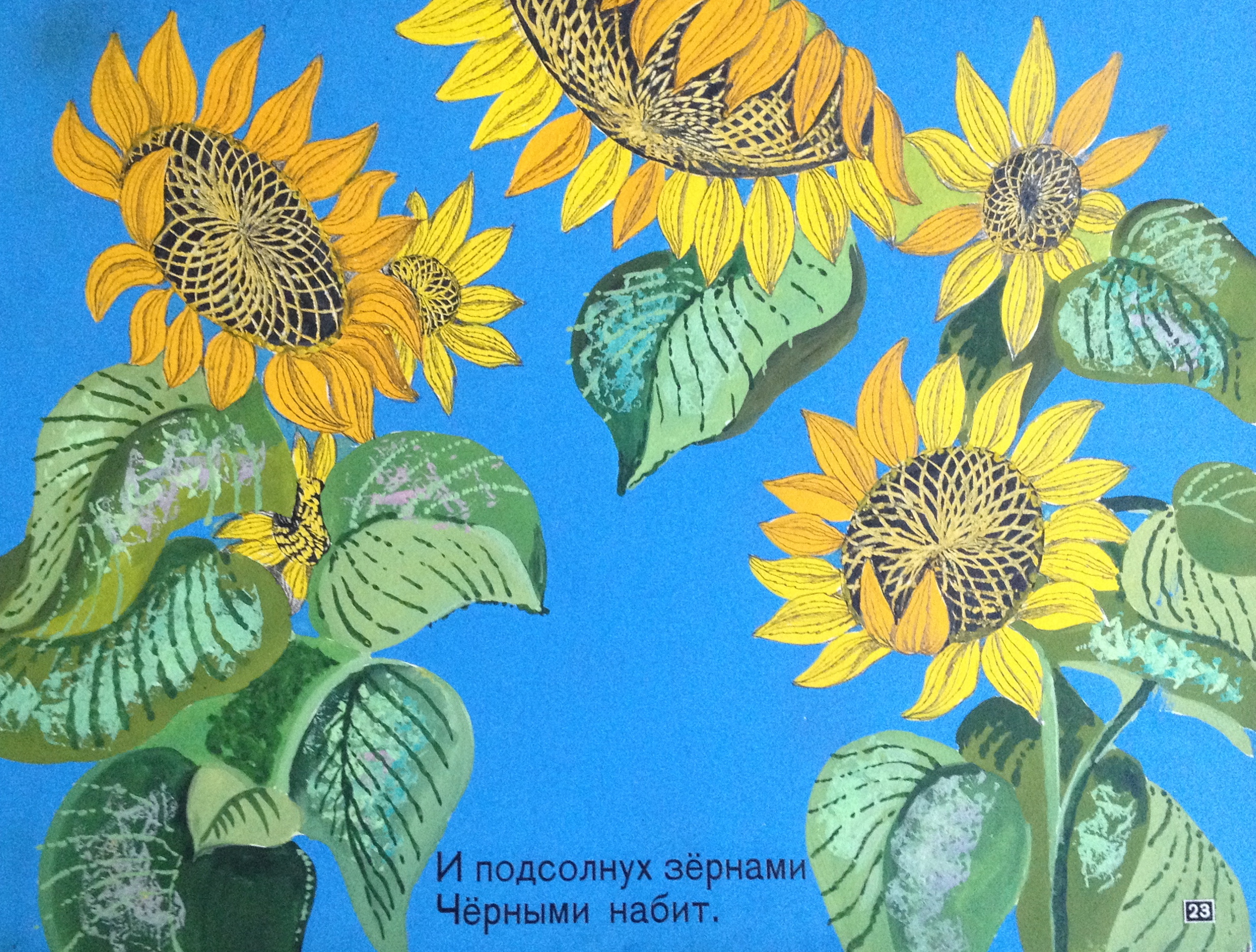 Зеброва Тамара Александровна. И подсолнух зернами черными набит. Зеброва Тамара Александровна. И подсолнух зернами черными набит.