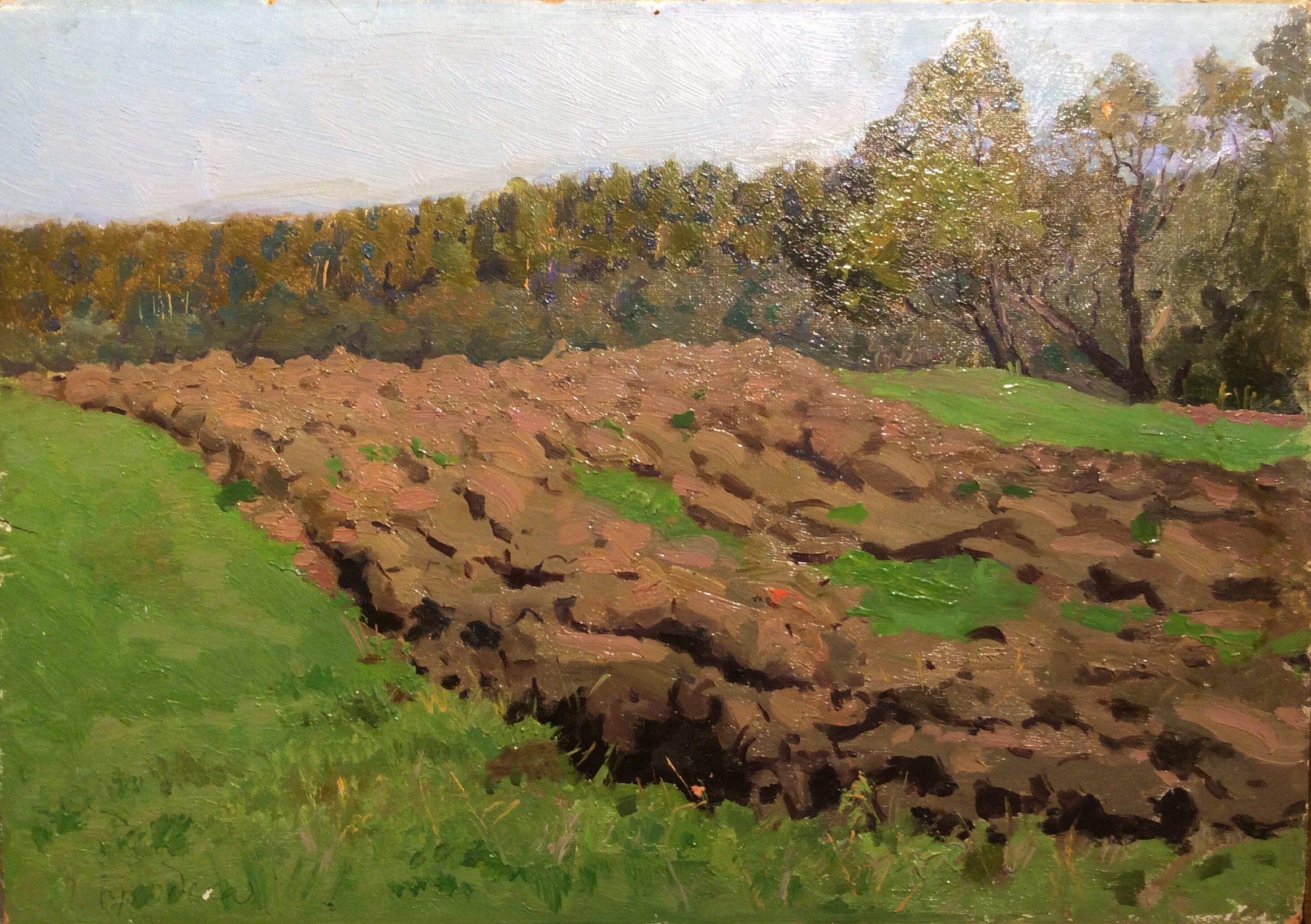 Бродская Лидия Исааковна. Пашня Бродская Лидия Исааковна. Пашня