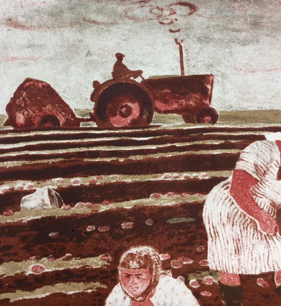 Калинычева Клара Ивановна. Уборка картофеля. Совхоз Курсаковский Калинычева Клара Ивановна. Уборка картофеля. Совхоз Курсаковский