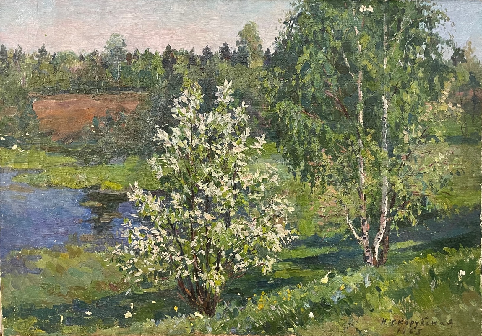 Скорубская Нина Васильевна. Черемуха в цвету Скорубская Нина Васильевна. Черемуха в цвету