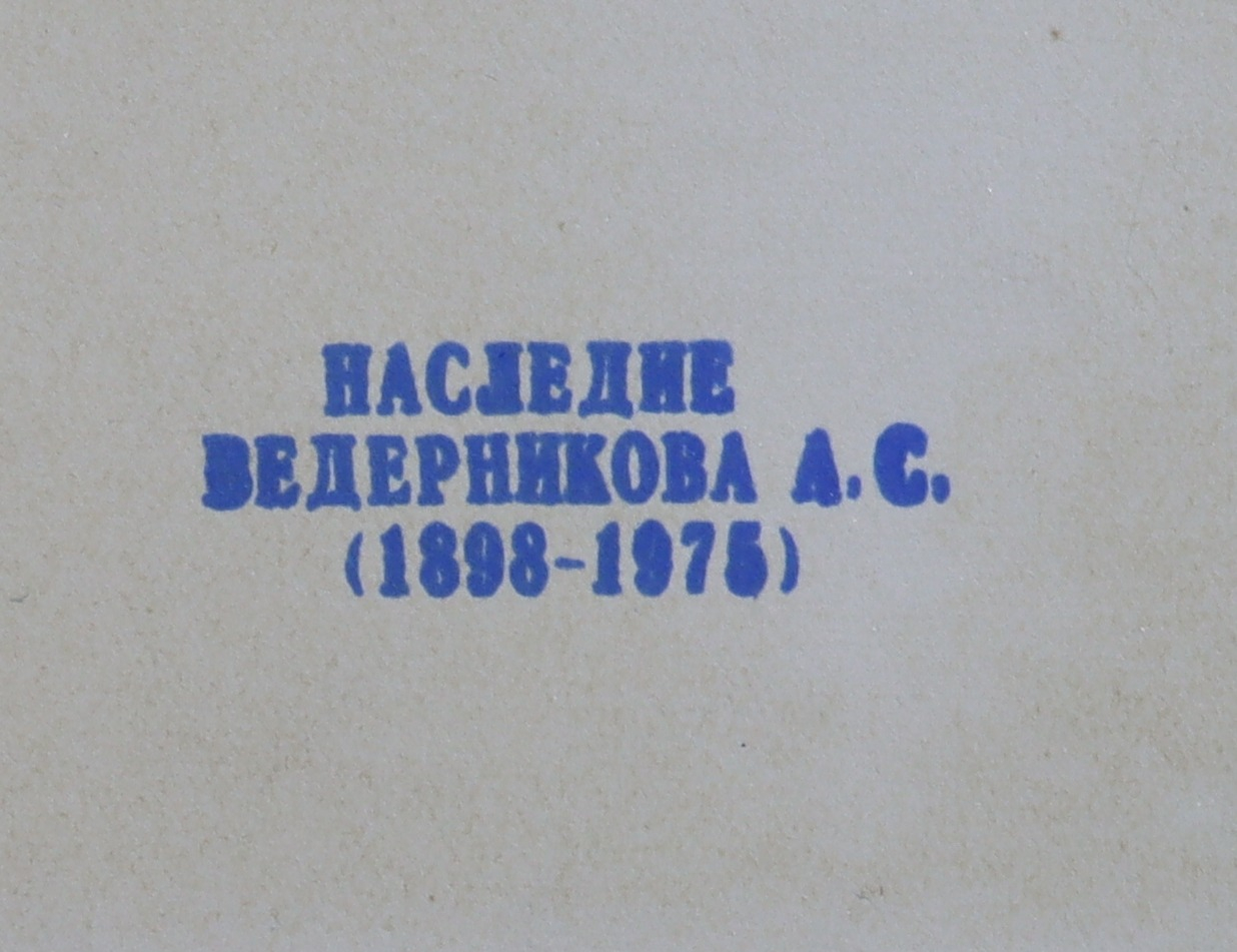 Ведерников Александр Семенович. Стадион Ленина сверху