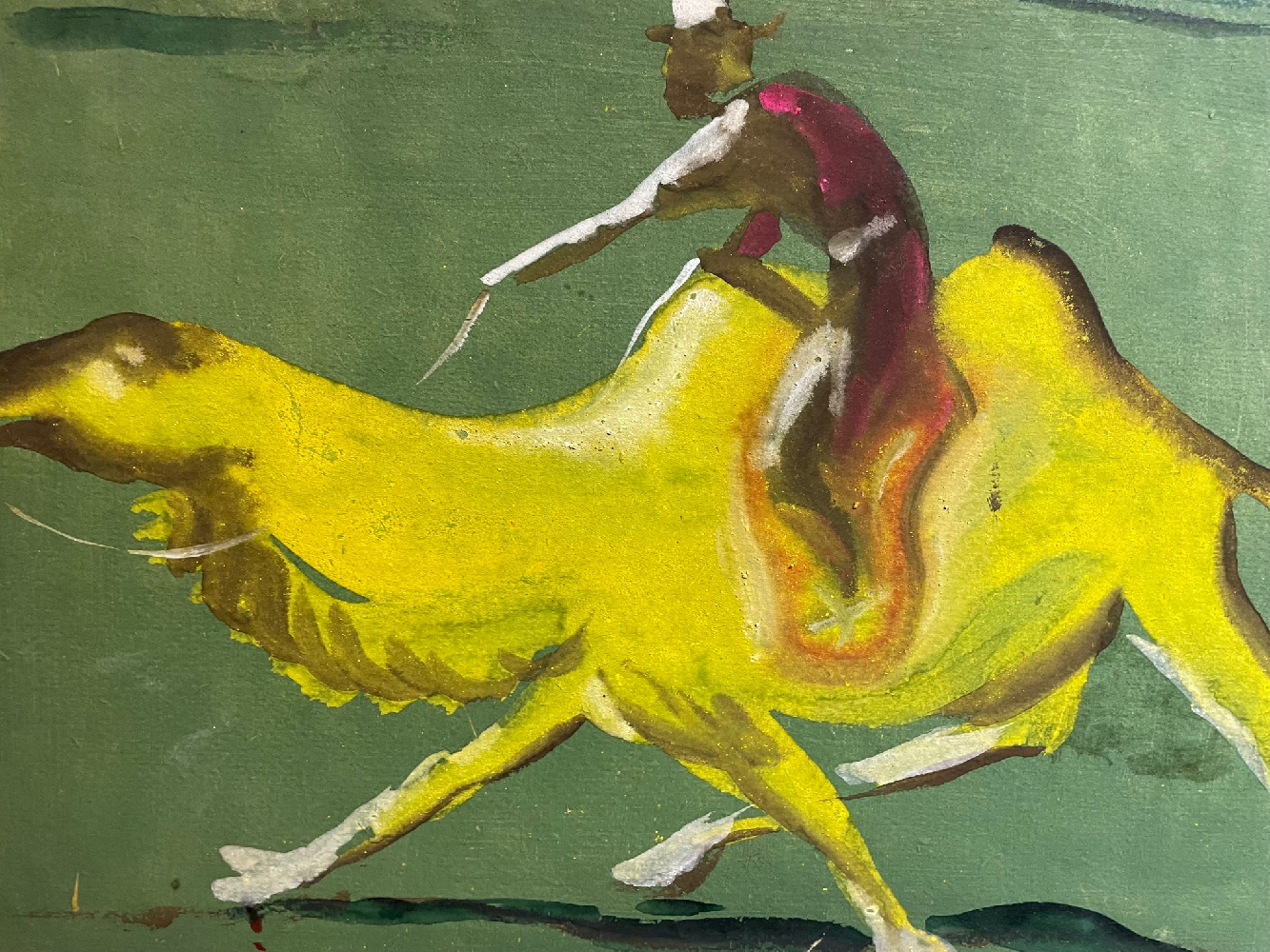 Джемаль Джаид Шамиль Оглы. Скачки на верблюде по зеленой пустыне Гоби