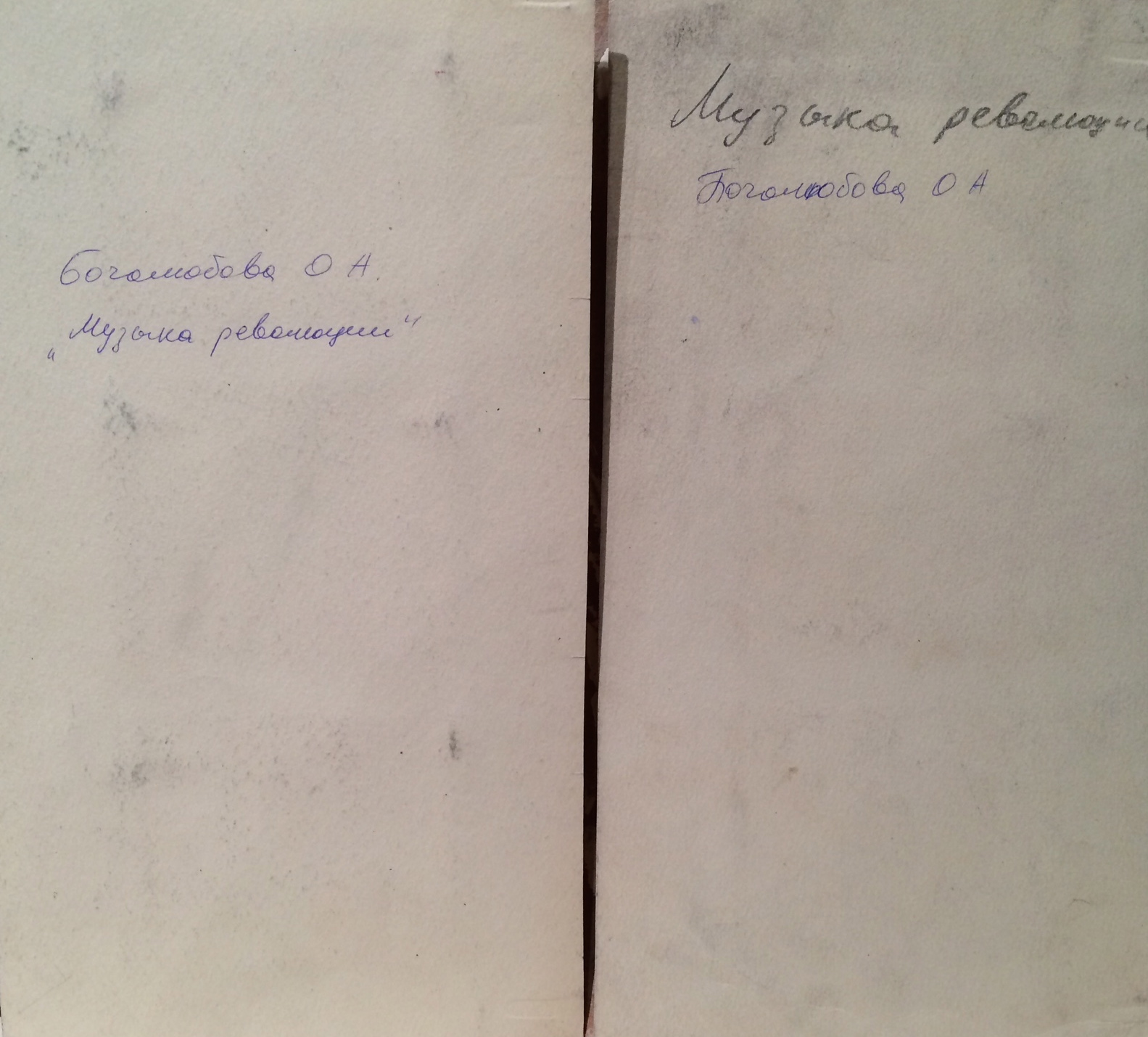 Оборот. Боголюбова Ольга Александровна. Виды Петербурга.